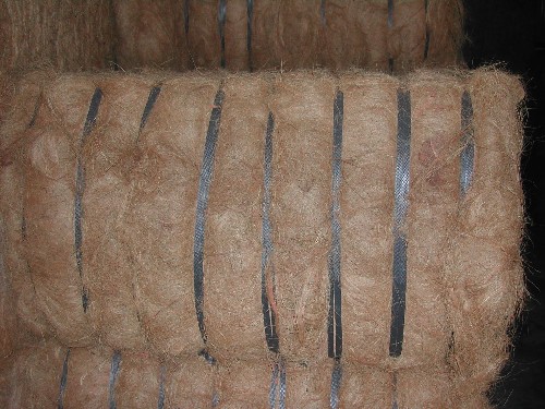  Coconut Fiber, Palm Fiber, Coconut Pith, Coconut Shell (Kokosfaser, Palm Fiber, Coconut, Mark, Coconut Shell)