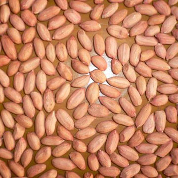  Peanut Kernel (Peanut Kernel)