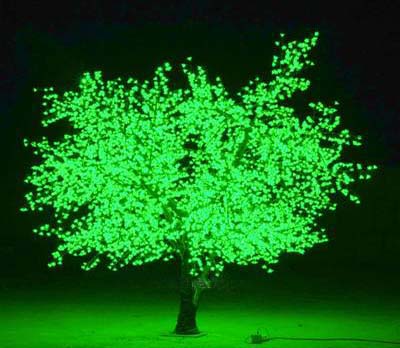  Tree Light (Arbre de lumière)