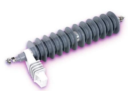  Polymer Surge Arrester ( Polymer Surge Arrester)