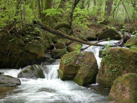  Spring-Water Rich Land