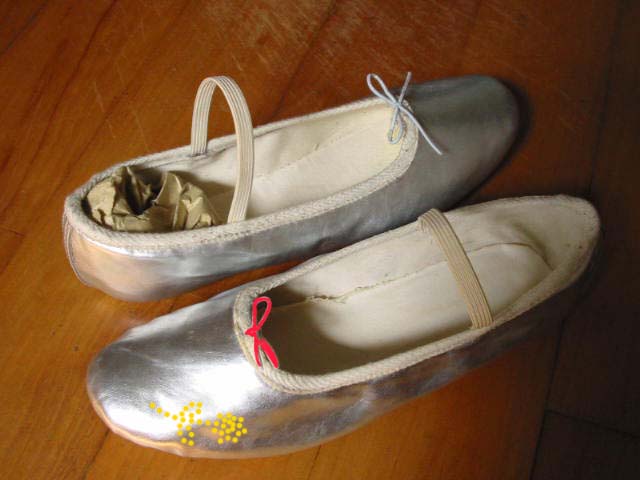 Custom Made Ballet Shoes
