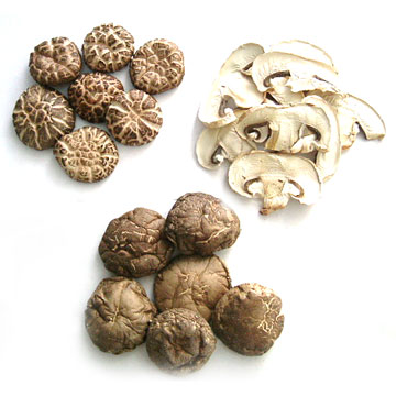  Dried Mushroom / Lentinus Elodes (Champignons séchés / Lentinus elodes)