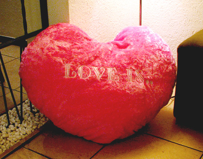  Heart Cushion