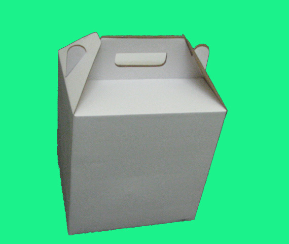  Carry Box ( Carry Box)