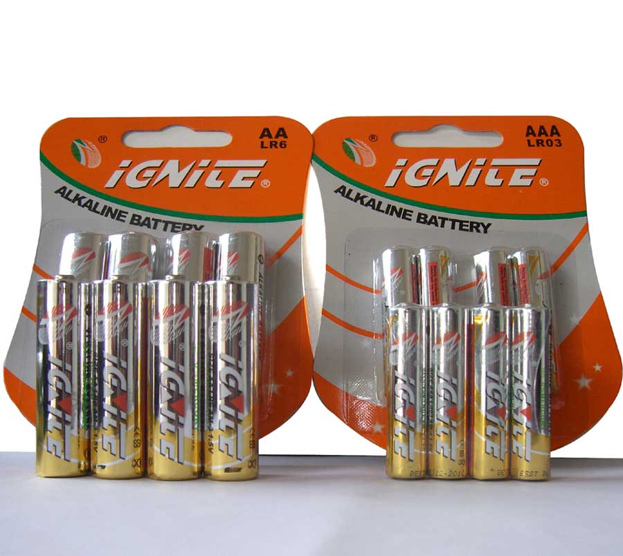  Alkaline Battery (Piles alcalines)