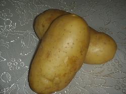  Potato