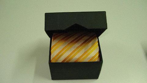  Neckties (Галстуки)