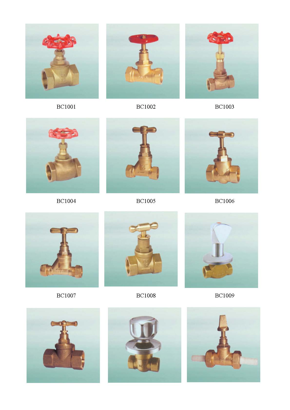  Brass Fittings ( Brass Fittings)