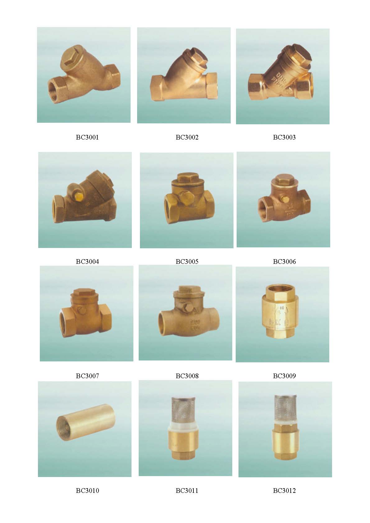  Brass Filter Valve, Check Valve ( Brass Filter Valve, Check Valve)