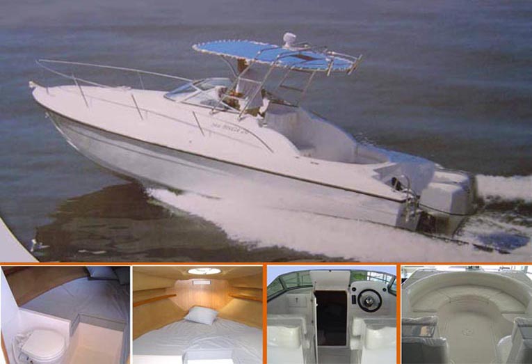  Cabin Cruiser Boat (Cabin Cruiser Boat)