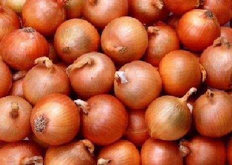  Fresh Onions (Frische Zwiebeln)