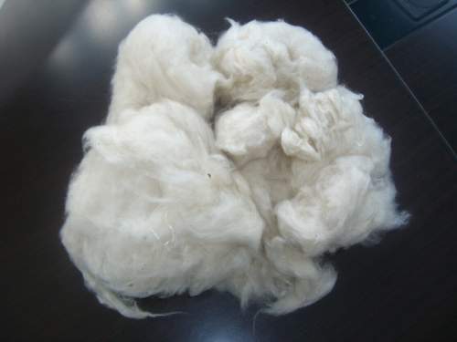  New Fibre And Yarn (Nouvelle fibres et de fils)