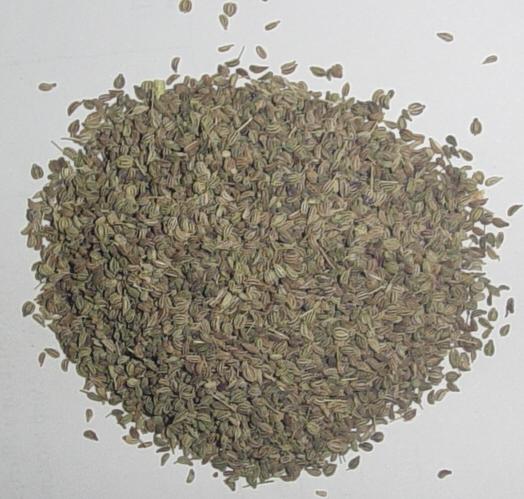  Ajwain (Bishop`s weed) (Ajwain (епископ сорняк))