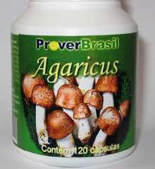  Agaricus Mushroom