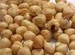  Hazelnuts (Haselnüsse)