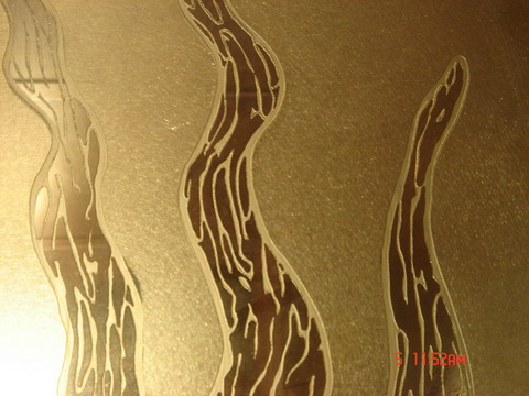  Etching Finish Stainless Steel Sheet ( Etching Finish Stainless Steel Sheet)