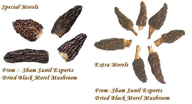  Dried Morels (Сушеные Сморчки)