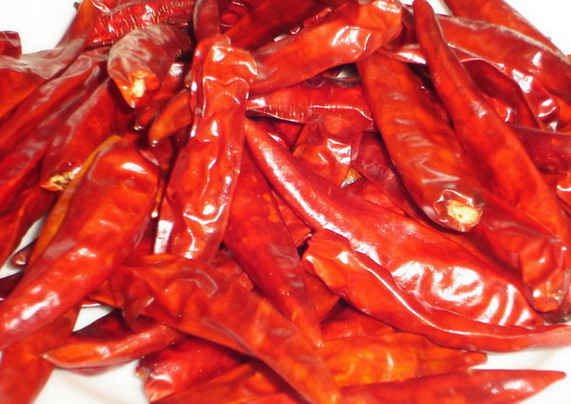  Dried Small Red Chilli (Séché Small Red Chilli)