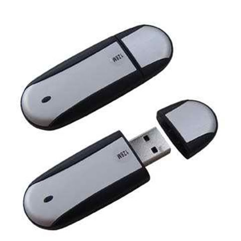  USB Flash Disk (USB Flash Disk)