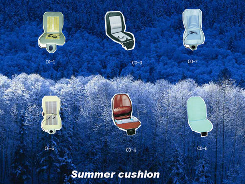  Summer Cushion ( Summer Cushion)