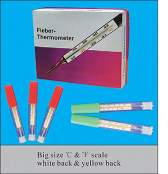  Clinical Thermometer (Thermomètre médical)