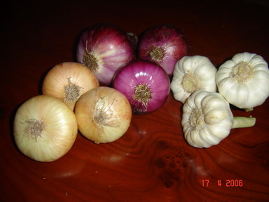  Onions (Лук)