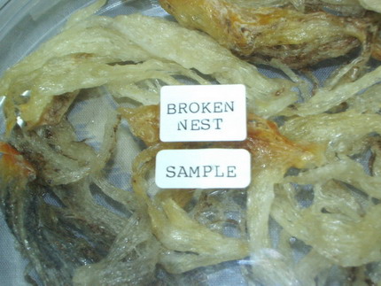  Broken Nest (Broken Nest)