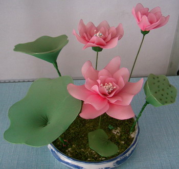 Silk Stocking Flower