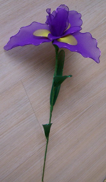  Silk Stocking Flower ( Silk Stocking Flower)