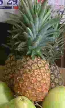  Philippine Pineapple (Филиппинская Ананас)