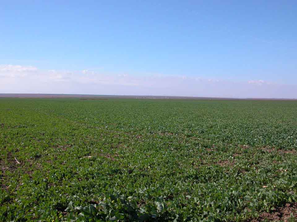  Thousand Of Hectares Of Farm Land In Romania (Milliers d`hectares de terres agricoles en Roumanie)