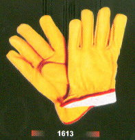  Winter Gloves (Gants d`hiver)