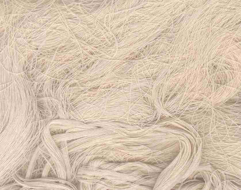  Cotton Yarn