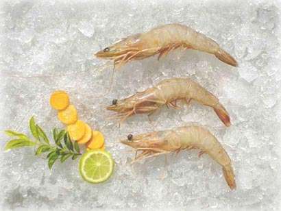  Shrimp (Crevettes)