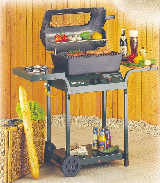  Gas BBQ Grill (Gas BBQ Grill)