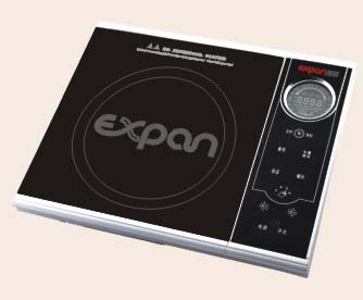  Induction Cooker