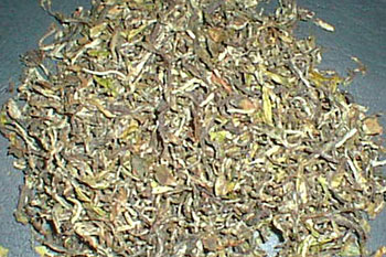  Gopaldhara Wonder Tea First Flush 2007 (Gopaldhara Wonder Tea First Flush 2007)