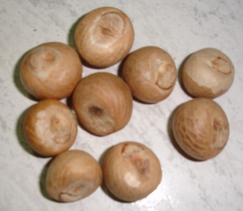  Betel Nut Whole (Betelnuss Insgesamt)