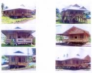  Wooden House (Maison en bois)