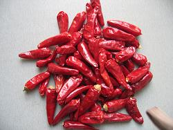  Dried Chili (Сушеные Chili)
