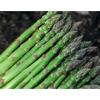  IQF Asparagus (Спаржа IQF)