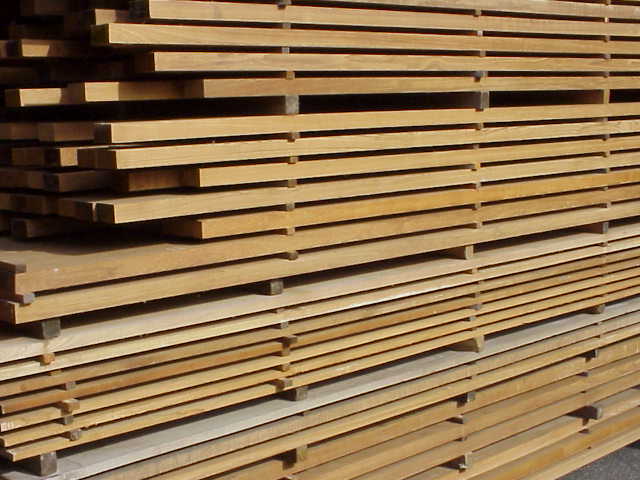  Moulmein Teak (Moulmein teck)