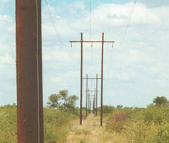  Wood Poles For Overhead Power & Telecommunication Lines (Holz-Stangen für Overhead Power & Telecommunication Lines)