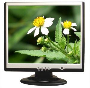 17 Inch LCD Monitor (17 дюймовый ЖК-монитор)