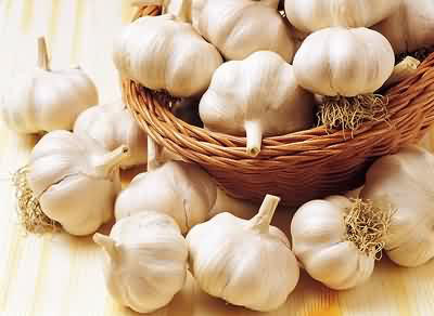  Garlic ( Garlic)