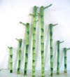  Straight Cutting Lucky Bamboo (Прямая резка Lucky Bamboo)