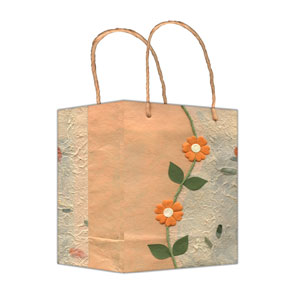  Gift bag ( Gift bag)