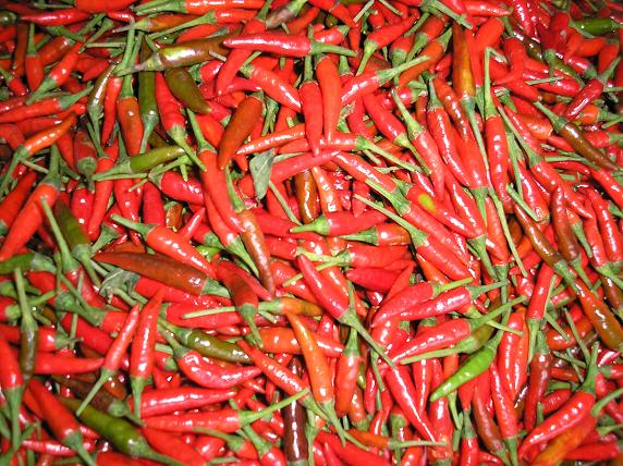  Fresh Red Hot Chilli (Fresh Red Hot Chilli)