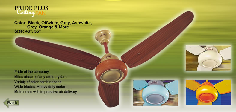  Decorative Fan ( Decorative Fan)